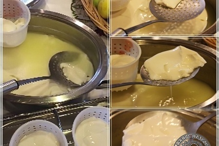 Сыр кроттен … из молока англо-нубийских коз: шаг 6