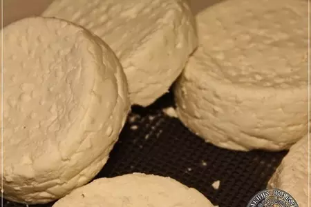 Сыр кроттен … из молока англо-нубийских коз: шаг 15