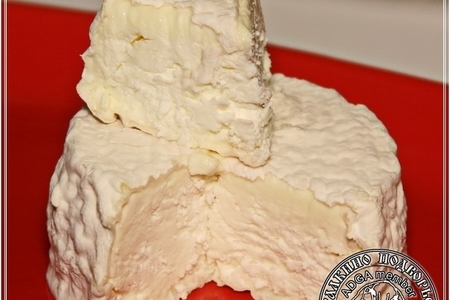 Сыр кроттен … из молока англо-нубийских коз: шаг 17
