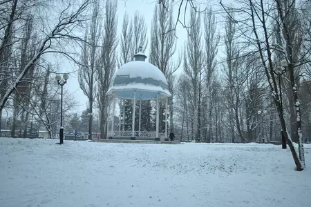 Сахарные рулетики с фисташковой крошкой: шаг 10