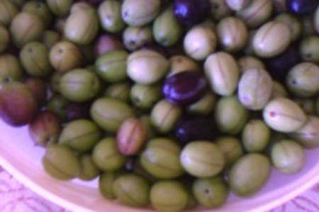 Заготовка на зиму:зелёные оливки: шаг 1