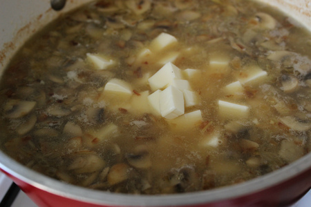 Грибной суп с сыром от оскара кучеры: шаг 8