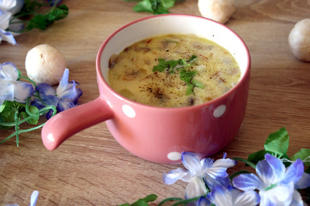 Грибной суп с сыром от оскара кучеры: шаг 10