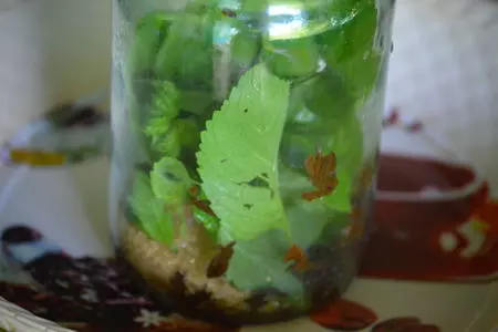 Марокканский мятный чай: шаг 3
