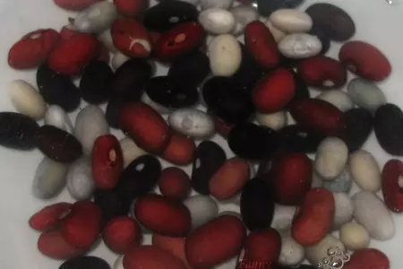 Щи с фасолью и курицей: шаг 2