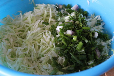 Лучший рецепт салата из молодой капусты с майонезом «махеевъ»: шаг 2