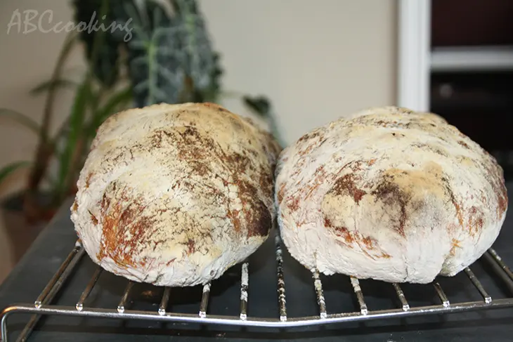 Чиабатта за 4 часа.ну очень вкусный хлеб!: шаг 3