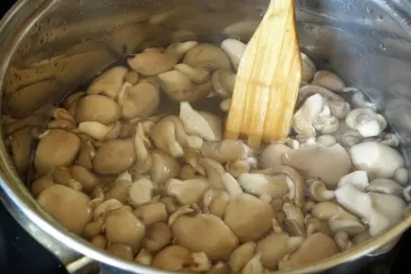 Вешенки закусочные.: шаг 4