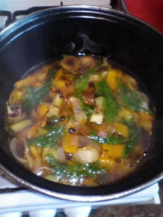 Мясной суп с хвойной пылью: шаг 4