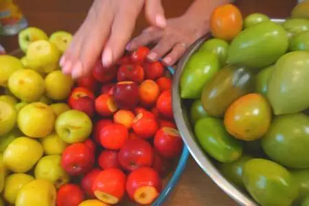 Зеленые помидоры с ранетками: шаг 1