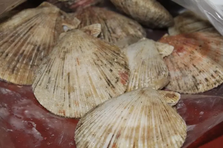 Морской гребешок с пармезаном и сливочным маслом: шаг 1