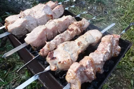 Шашлык с мёдом и кориандром, маринованный в белом квасе: шаг 5