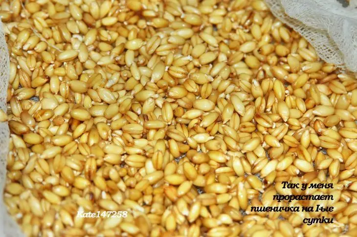 Салат из сладкого перца, пророщенной пшеницы с яблоками и кедровыми орешками: шаг 3