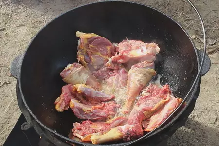 Чахохбили из курицы в казане: шаг 7