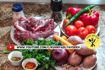 Шурпа из лосятины, суп из лося: шаг 1