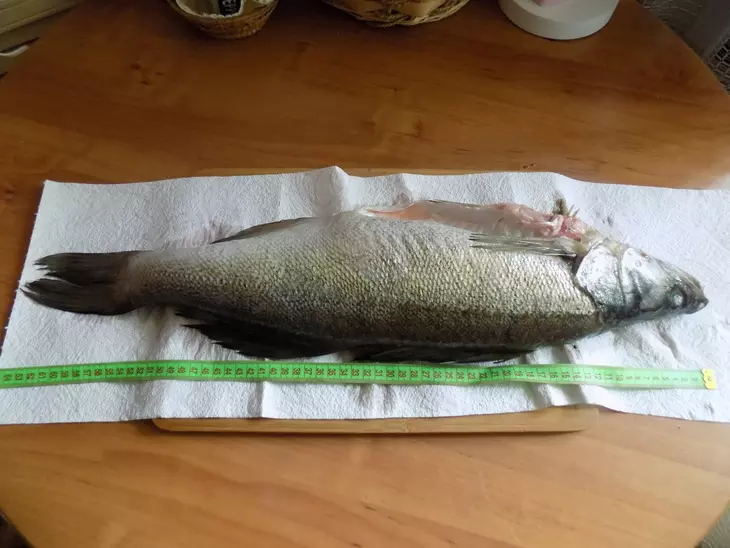 Белые щи из судака #литкухня и #кулинар: шаг 1
