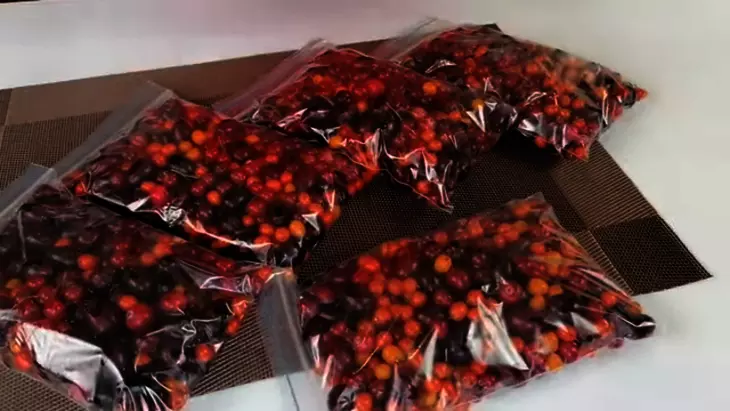 Заморозка (заготовка) продуктов осенью: шаг 2