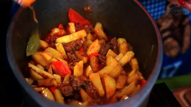 Азу с говядиной и картофелем с солеными огурцами по-татарски: шаг 7