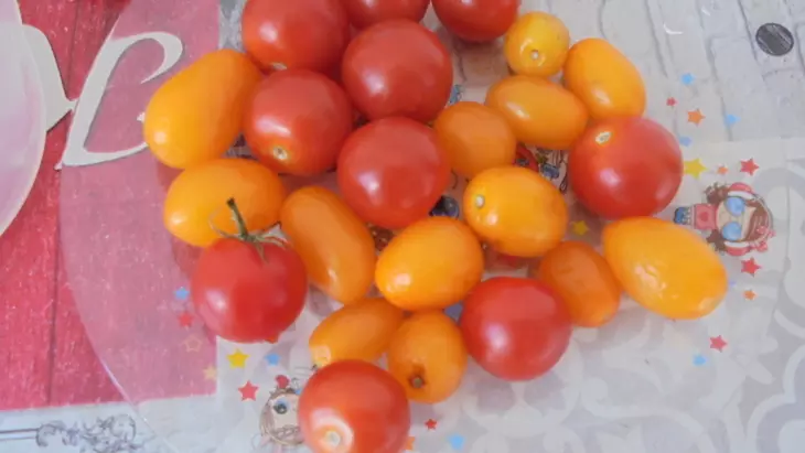 Пицца с томатами и сулугуни: шаг 1
