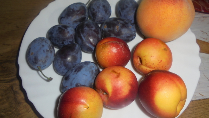 Творожные галеты с фруктами: шаг 6