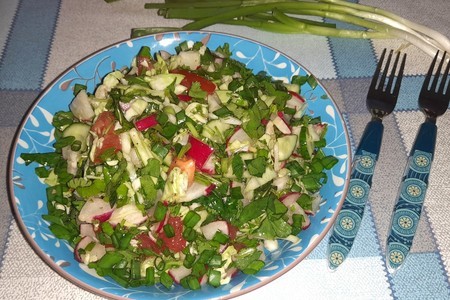Салат из молодых овощей и зелени: шаг 12