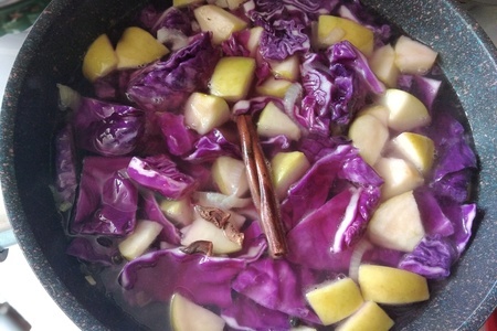 Red Cabbage Soup with Apple: Step 9