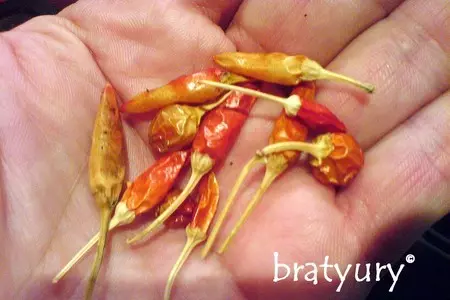Chutney. чатни (трудно создать что-либо более острое): шаг 7