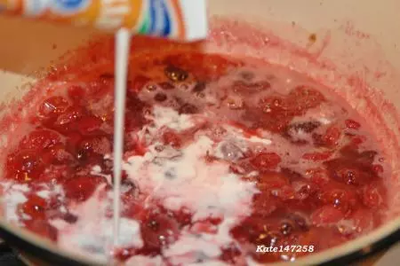 Куриные грудки с крыжовником и смородиной.: шаг 2