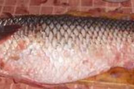 Саламур или маринованная рыба по-керченски: шаг 1
