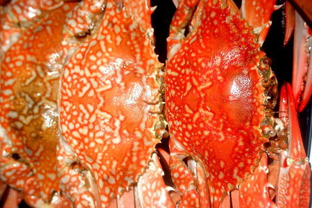 Boiled crabs или варёные крабы по китайски: шаг 1