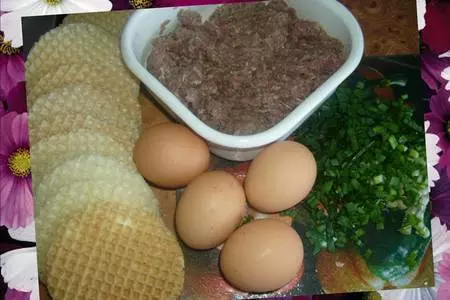 Мнимая котлетка: шаг 1