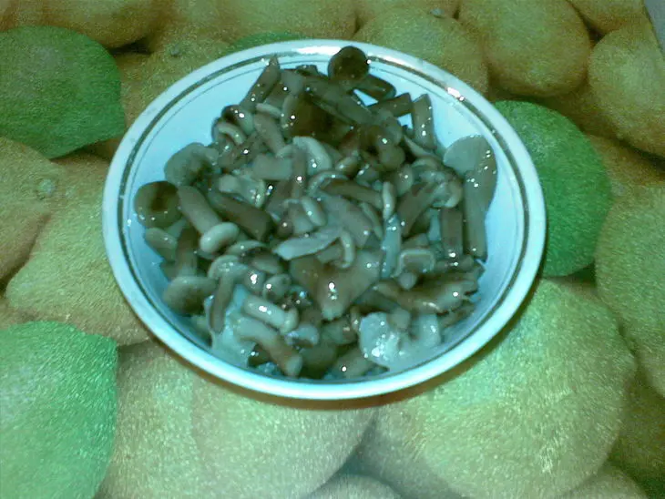 Мясо с опятами в сметане и с сыром.: шаг 2