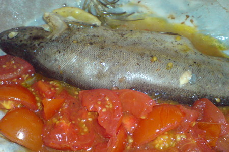 Фото к рецепту: Форель,запечённая с помидорками и розмарином в пергаменте
