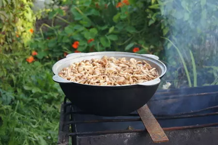 Грибочки