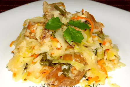 Капуста, тушеная с индейкой и рисом (тест-драйв vitek)