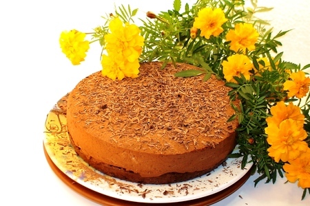 Фото к рецепту: Торт « шоколадная маркиза» ( тест –драйв)