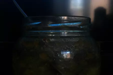 Варенье из фейхоа (сырое)
