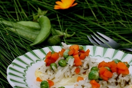 Фото к рецепту: Закуска-гарнир из риса и овощей