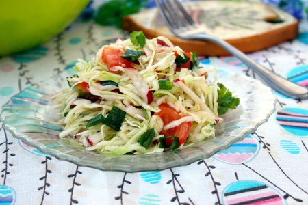 Фото к рецепту: Салат из летних овощей