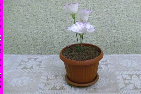 Всем школьникам посвящается...мороженое в цветочном горшочке.