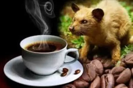 Вьетнамский кофе лювак