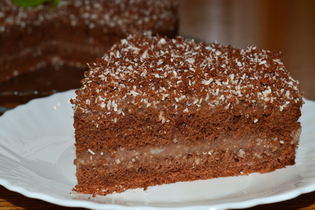  постный шоколадно-кокосовый торт