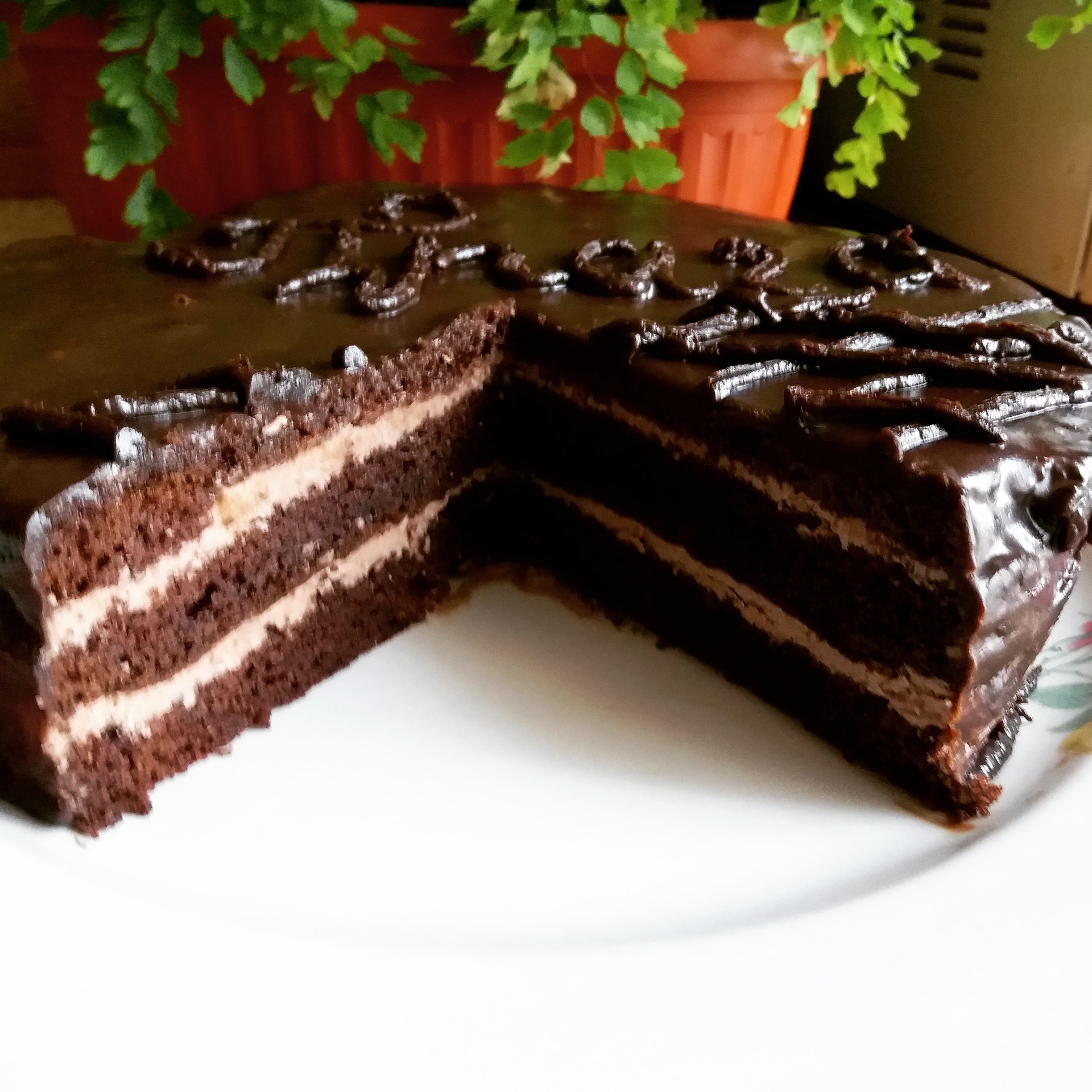 Торт шоколадный пинчер рецепт с фото
