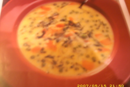 Фото к рецепту: Весенний овощной суп