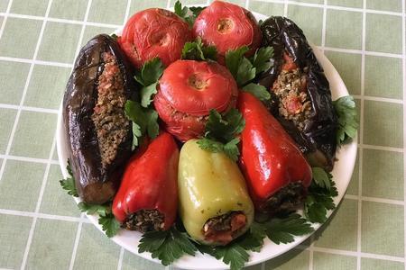 Фото к рецепту: Долма из фаршированных баклажанов, помидоров и перцев
