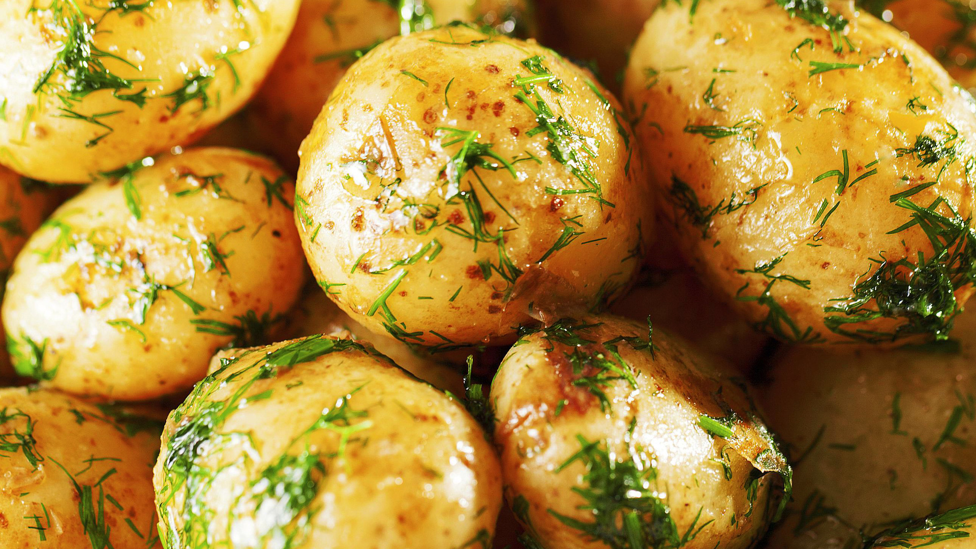Рецепты со свежей картошкой. Картошка с укропом. Картошка с чесноком и укропом. Картофель с укропом и чесноком. Картофель с зеленью.