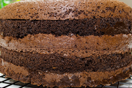 Фото к рецепту: Влажный шоколадный шифоновый бисквит
