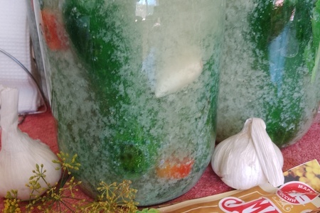 Фото к рецепту: Огурцы на зиму под капроновую крышку #махеевъ