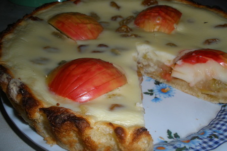 Яблочный Пирог Неженка Рецепт С Фото Пошагово