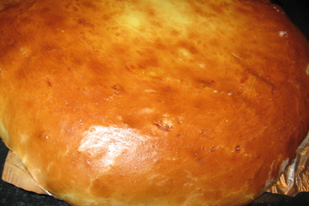 Пирог с творогом и изюмом (дрожжевое тесто с медом)